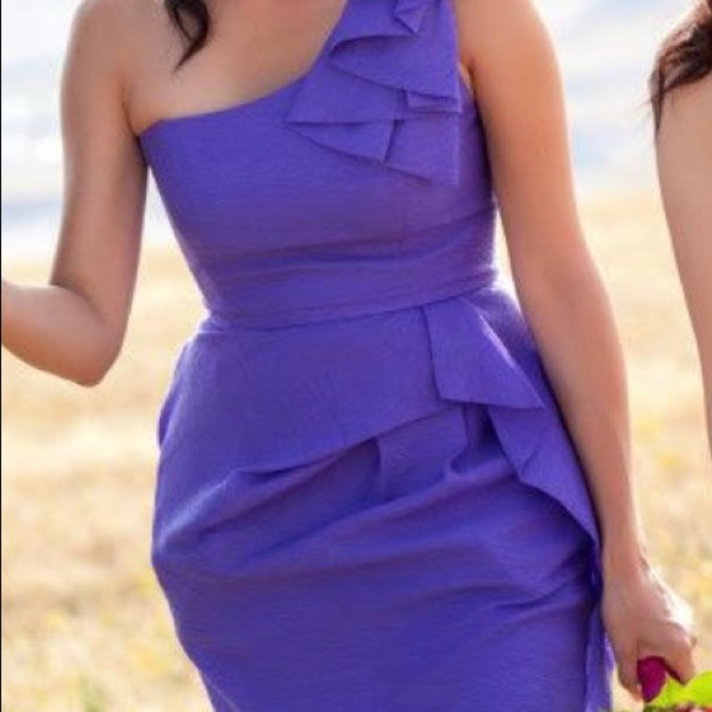 BCBG MaxAzria Dress - lilac purple color